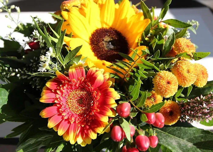 Lindenstrasse 8 Whg 2 *